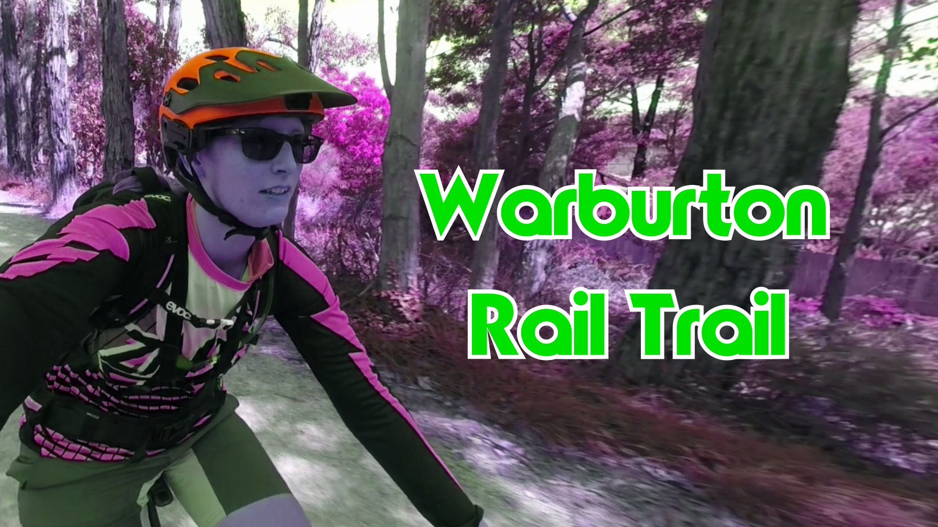 Warburton Rail Trail MTB Tour