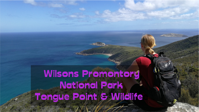 Wilsons National Park Tongue Point Walk